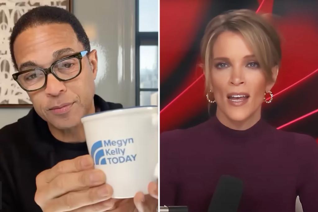 Don Lemon rips 'racist' Megyn Kelly after she celebrates Joy Reid's vacation: 'Go F -K yourself'